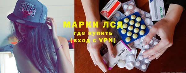 PSILOCYBIN Каменка