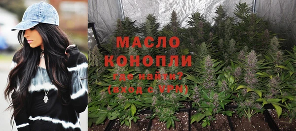 PSILOCYBIN Каменка