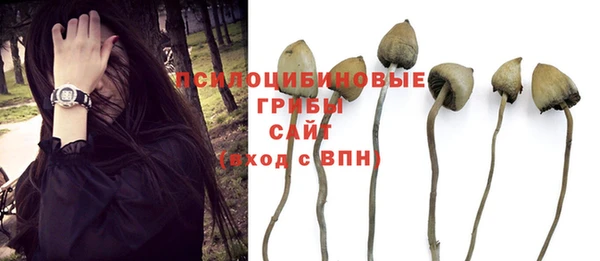 PSILOCYBIN Каменка
