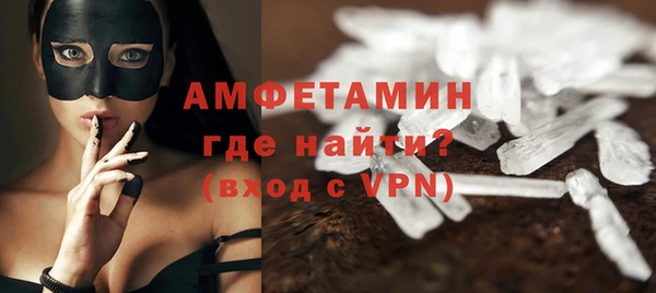 PSILOCYBIN Каменка