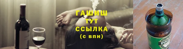 PSILOCYBIN Каменка