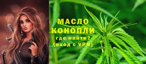PSILOCYBIN Каменка